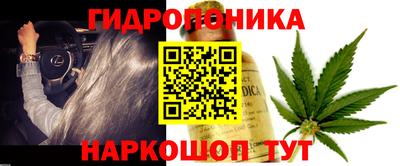 Альфа ПВП Рузаевка
